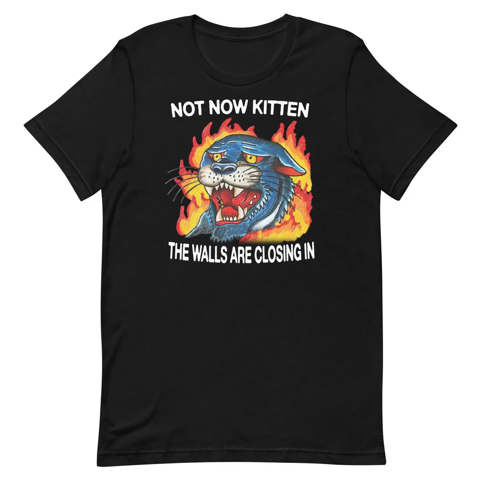 Not Now Kitten t shirt vintage - Vintage Fashion Now recension och pris